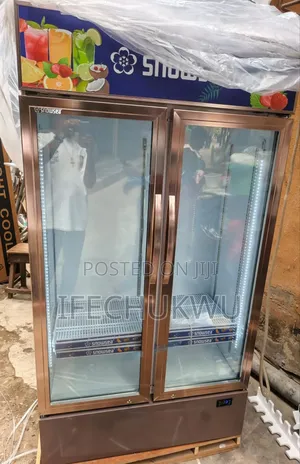Original Snowsea 700litters Doors Showcase Glass With Led Light