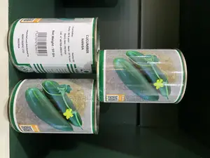 Cucumber Nanga
