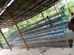 96birds and 120 Capacities of Battery Cages