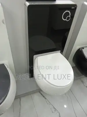 Luxury Wall Hung Wc With Surface Tank