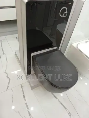 Wall Hung Water Closet With Surface Tank (Matt Black)