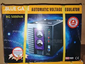 Stabilizer 5000va