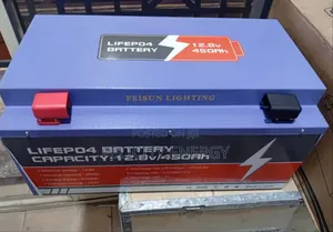 Feisun Lithium Ion Battery 450amps 12.8v