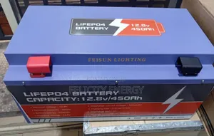 Feisun Lithium Battery 450amps 12.8v (Ion Body )