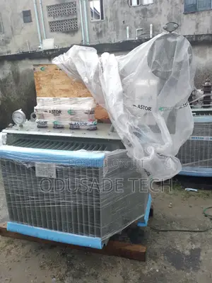 Astor 500kva 11kv Transformer for Utility Applications