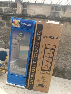 Rock Solid Snowsea 300liters Upright Showcase Freezer Chiller Lc-300