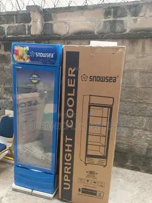 Limited Offer Snowsea 300 Liters Showcase Freezer Chiller Lc-300