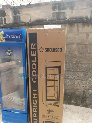 Top Pick Snowsea 300 Liters Upright Showcase Freezer Chiller Lc-300