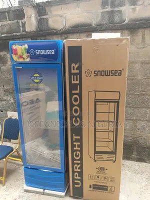 Low Noise Snowsea 300 Liters Upright Showcase Freezer Chiller Lc-300