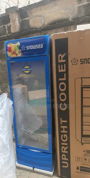 Sleek Design Snowsea 300 Liters Showcase Freezer Chiller Lc-300