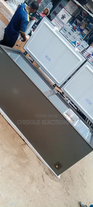700 Liters Hisense Double Door Chest Freezer