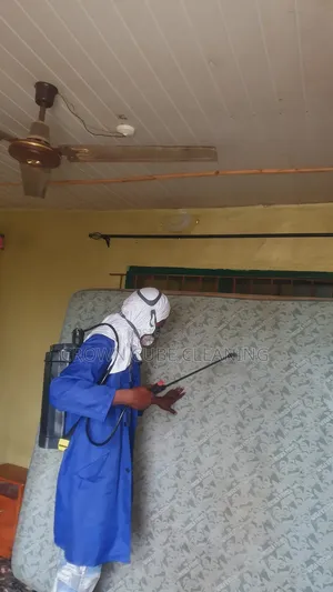 Best Fumigation and Bedbugs Treatment