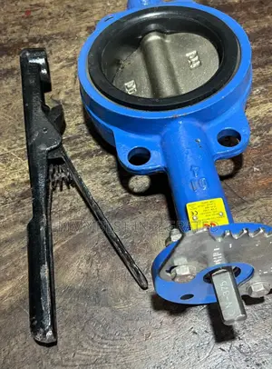 C C Butterfly Valve