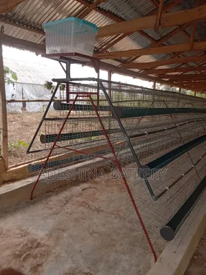 Complete New Local and Imported Cage