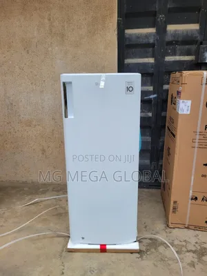 Lg 304 White Vertical Freezer