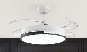 Fan Chandelier Light