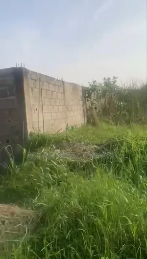 Half Plot of Land (Sand-Filled and Fenced)