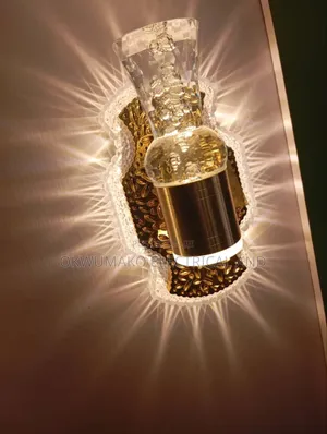 Wall Light Original Brand Beautiful and Shine