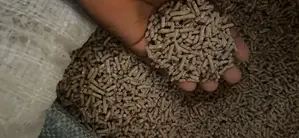 Sinking Cat Fish Feed