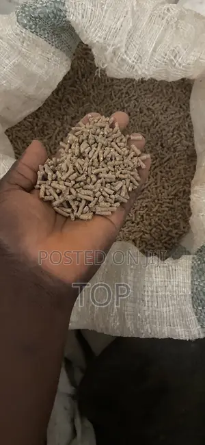 Sinking Cat Fish Feed