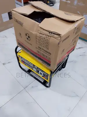 Detailed Manual for Elepaq Sv6800 Generator