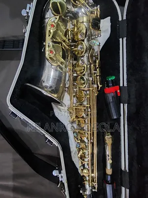 Professional Alto Sax