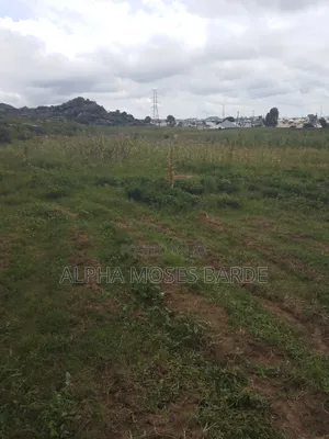 Landed Property