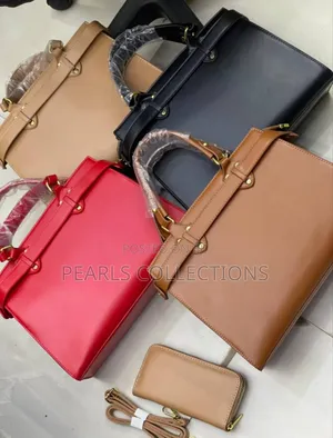 2 Set Classy Office Bag