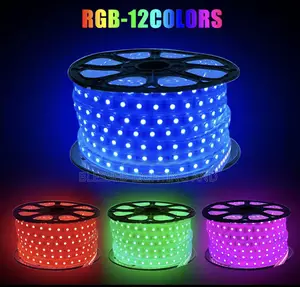 220v Led Strip High Brighten Rgb, Multiple Color Indoor Strip Lights