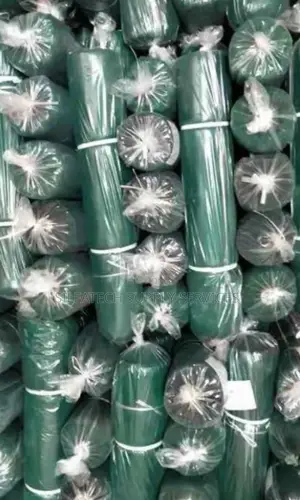 Scaffold Net