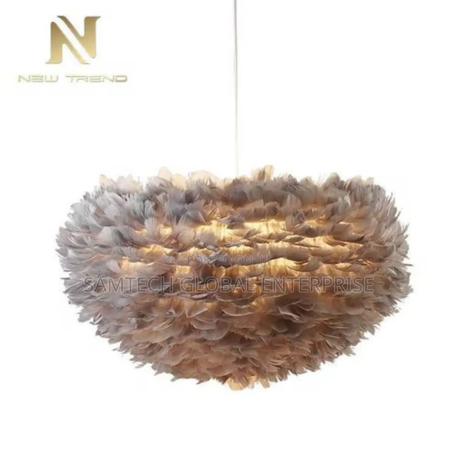 Modern Feather Light