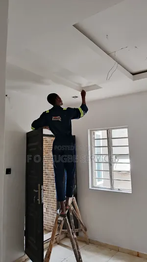 Professional House Painter and Screeder