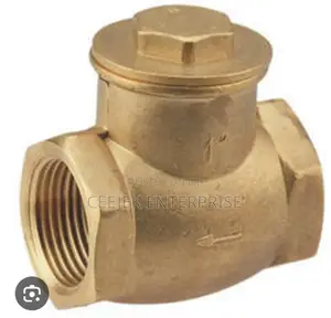 1" Brass Non Return Valve