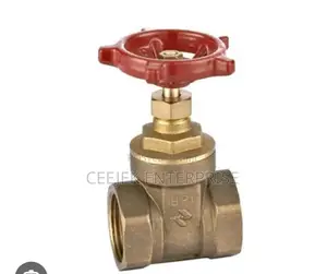 2" Brass Gate Valve