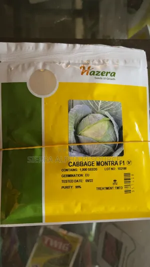 Cabbage Seeds