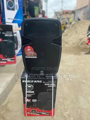 World King 15" Public Address System