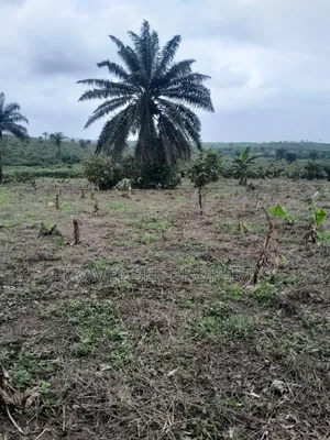 Land's Survey Plan Opp Nig Beware PLC