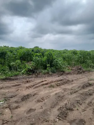 Land's Survey Epe Ijebu Ode Express Ways