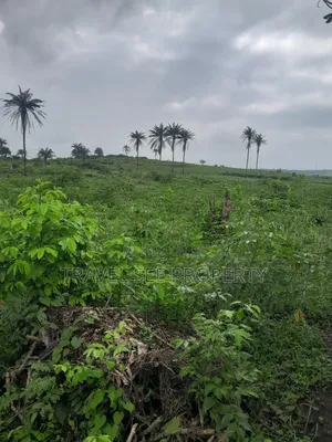 Land's Survey Lagos Toll-Gate