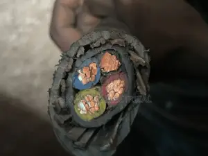 25mmx4core Armored Cable
