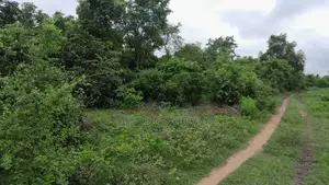 Fertile Farmland In Ibadan For Agriculture