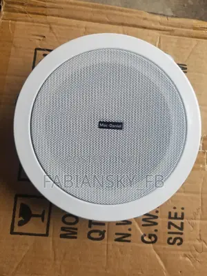 Original Ceiling Speaker 10watt, Beatzo Product