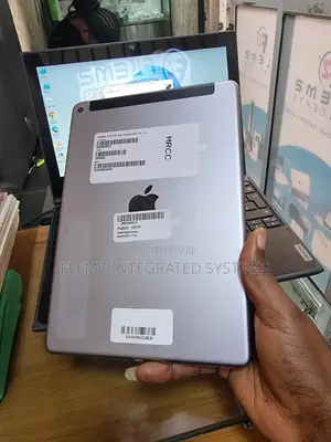 Apple iPad Air 2 64 GB Gray