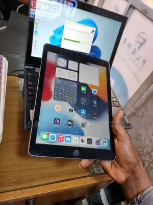 Apple iPad Air 2 64 GB Gray