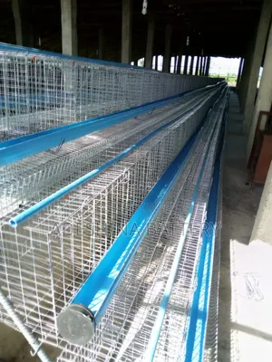 New Local Fabricated Cages