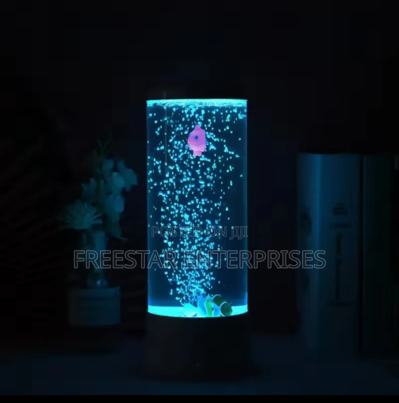 Rotating Fish Acquarium. Mini Bubble Lamp.