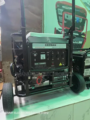 (10kva)Ceeman Petrol Generator Model Eco12990e2 100% Copper Coil