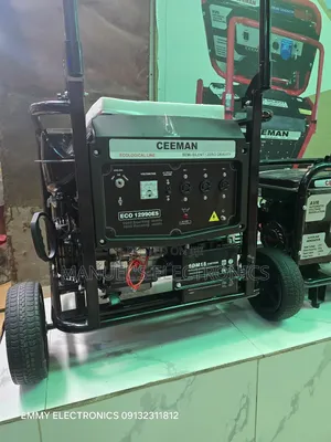Brand New Ceeman Petrol Gen Model Eco12990e2 100% Copper Coil(10kva)