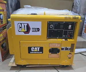 I Have Cat Diesel Soundproof Generator 10.5kva  1year Warranty