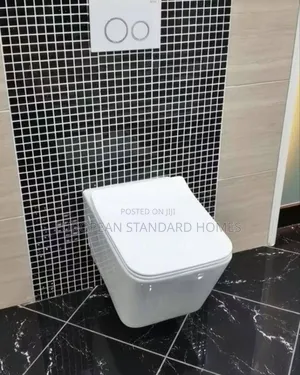 England Conceal Toilet